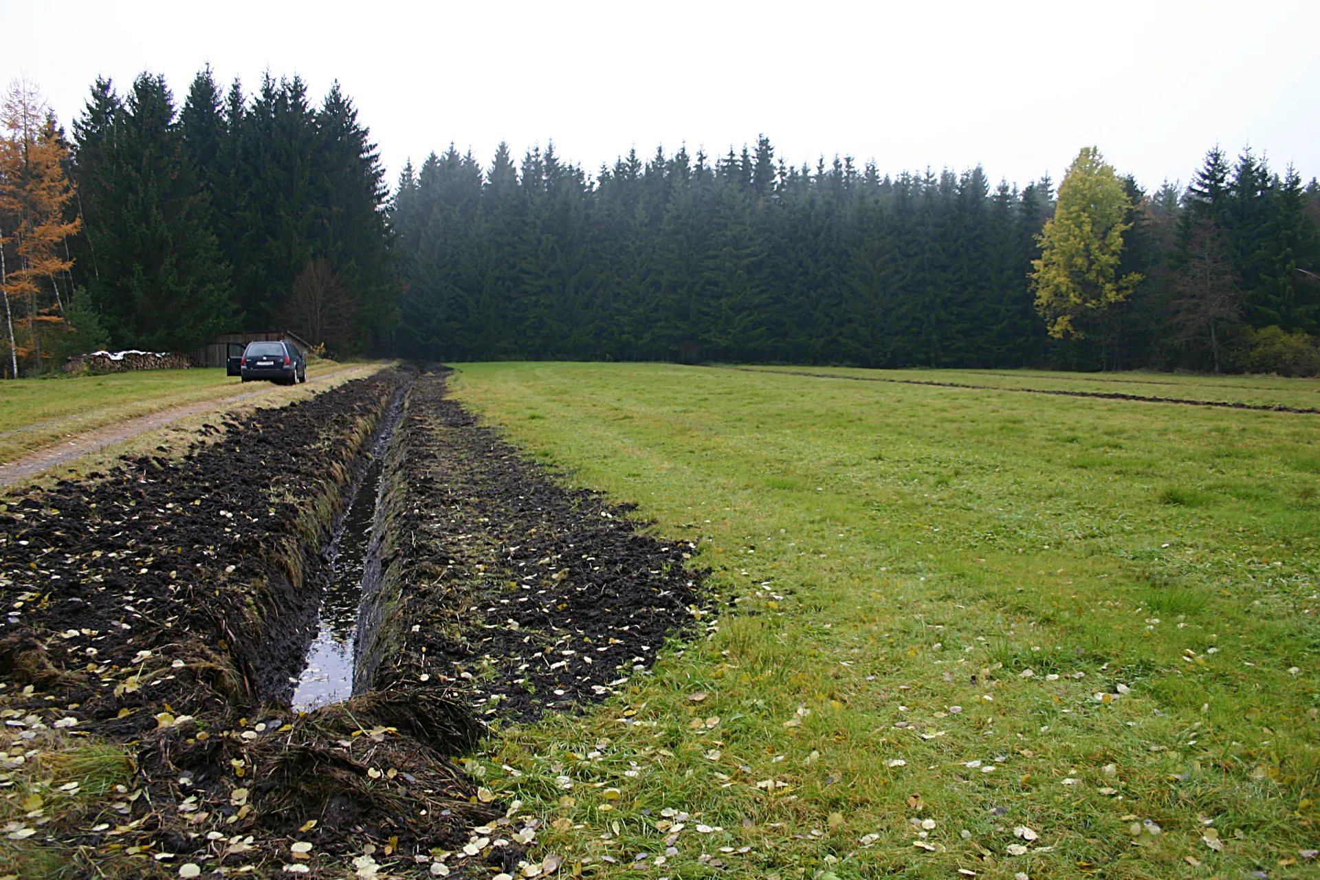 Das Bild zeigt links einen Drängraben im Niedermoor. Im Vergleich zur rechts angrenzenden Wiese ist der Boden des Grabens schwarz und mit Wasser gefüllt. Im Hintergrund steht Wald.