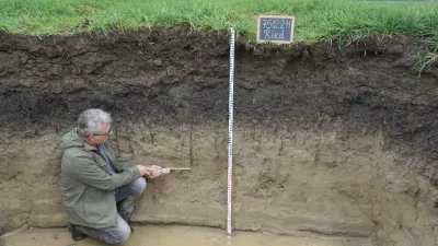 Man sieht die Wand einer Bodenprofilgrube in der am Grund etwas Wasser steht. Ein Bodenkundler untersucht die fast zwei Meter hohe Profilwand die in der oberen Hälfte schwarzgrau und darunter hellgrau ist. An der Oberfläche ist Grünland. 