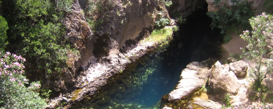 Blick auf eine Wasserquelle. Das Wasser füllt ein spaltförmiges Becken in hellgrauem Fels.