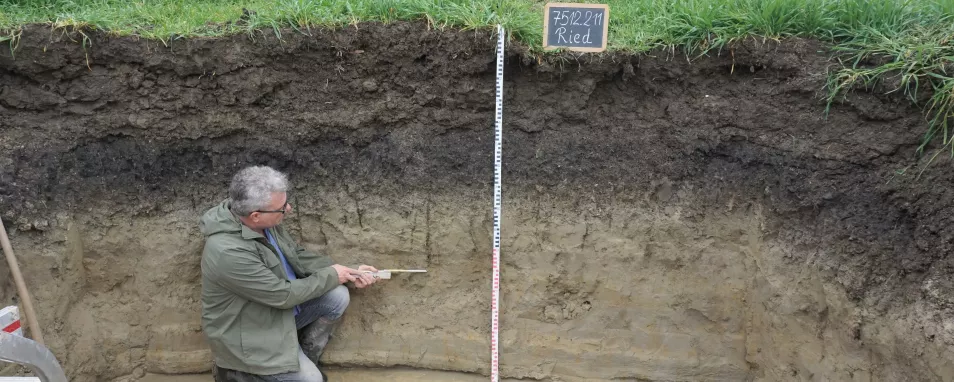 Man sieht die Wand einer Bodenprofilgrube in der am Grund etwas Wasser steht. Ein Bodenkundler untersucht die fast zwei Meter hohe Profilwand die in der oberen Hälfte schwarzgrau und darunter hellgrau ist. An der Oberfläche ist Grünland. 