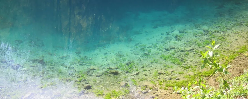 Foto zeigt die Wasseroberfläche einer Karstquelle mit Farbübergang vom flachen, gelbgrünen Uferbereich bis ins türkisblaue tiefe Wasser